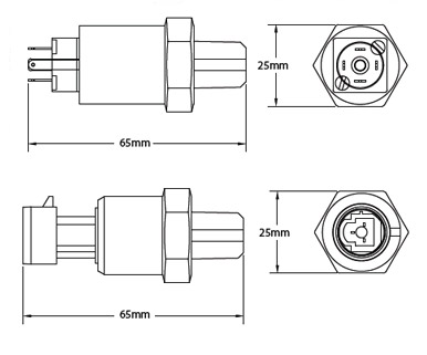 Transductor de Presión Nason NT110 (Bajo Consumo) - Imagen 2